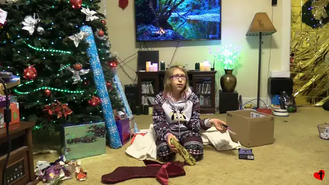 Christmas at Rogers with LeeAnne - Dec 23, 2016