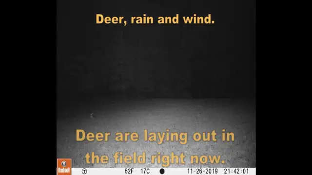 TrailCam_2019,Oct29