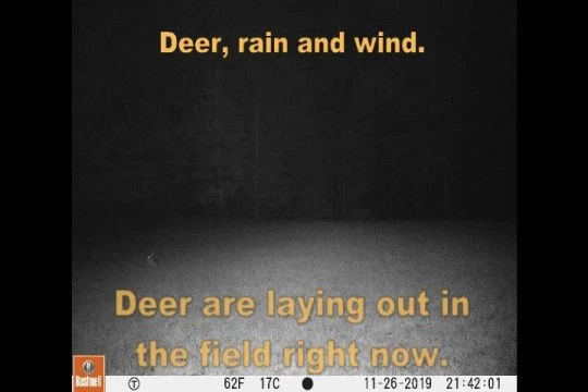 TrailCam_2019,Oct29