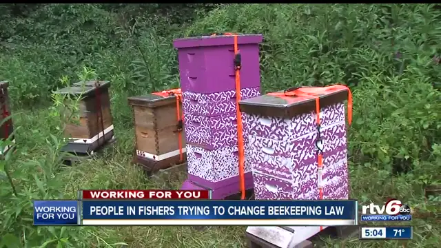 Fishers beekeepers want to wreck father/daughter