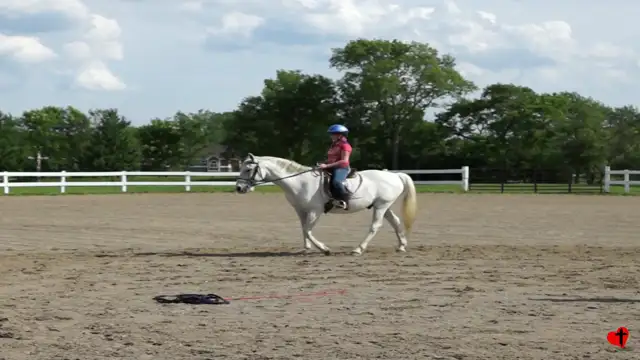 LeeAnne @ Horse Riding Lessons - June 2, 2016