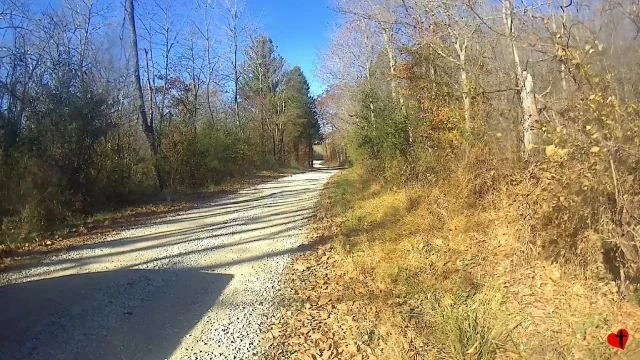Road Hunt - Nov 11, 2016