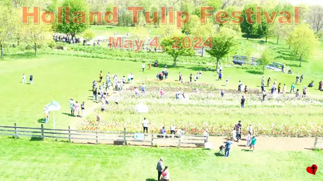 Holland Tulip Festival - May 4, 2024