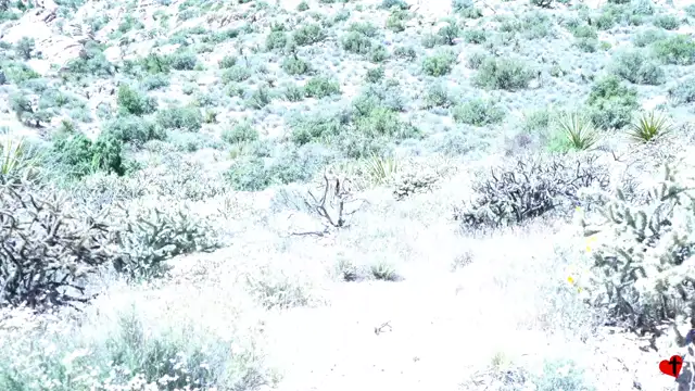 Search for Spirit Mountain - May 27, 2024