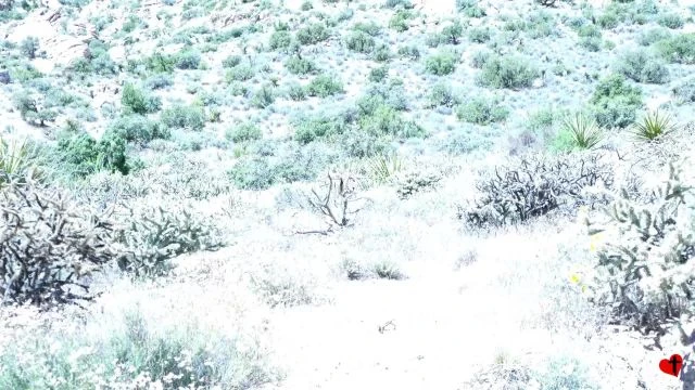 Search for Spirit Mountain - May 27, 2024