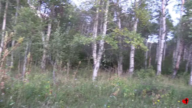 A Colorado Hunt - Aug 30, 2017