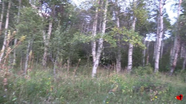 A Colorado Hunt - Aug 30, 2017