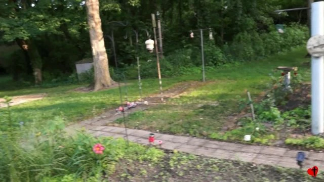 Roger's Flowers - June 6, 2016
