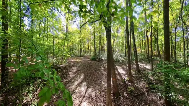 Hunter's Honey Farm - Walking the Trails