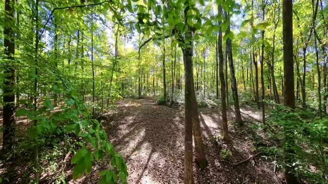 Hunter's Honey Farm - Walking the Trails