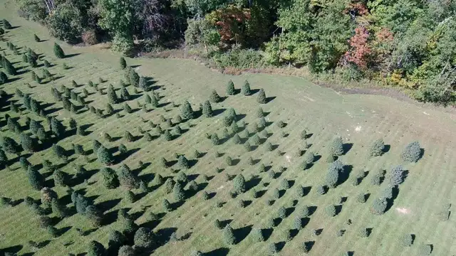 Hunter's Honey Farm - Drone View