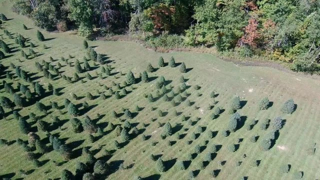 Hunter's Honey Farm - Drone View